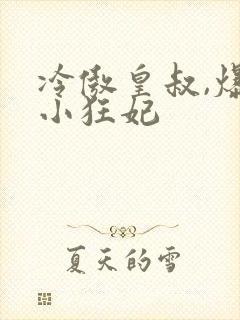 冷傲皇叔,爆宠小狂妃