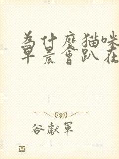 为什么猫咪每天早晨会趴在主人胸口睡觉?