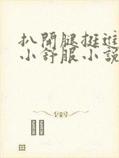 扒开腿挺进肉嫩小舒服小说封面