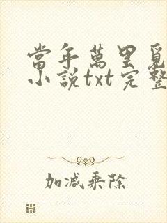 当年万里觅封侯小说txt完整+番外