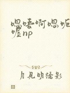 嗯唔啊嗯呃嗯喔喔np