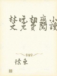 林晚相恋小说全文免费阅读封面