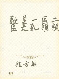 欧美一区二区三区大乳视频