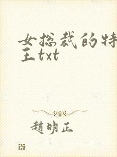 女总裁的特战兵王txt