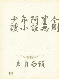 少年阿宾全文阅读小说无删减
