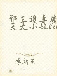 邪王追妻废材逆天大小姐txt下载