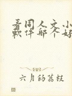 看同人文小说的软件哪个好