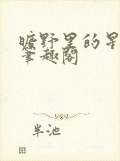 旷野里的星小说笔趣阁