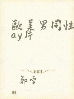 欧美男同性恋gay片