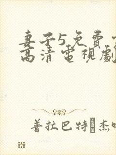 妻子5免费完整高清电视剧在线封面