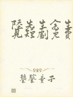 陆先生余生不再见短剧免费观看全集