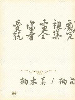 爱你电视剧免费观看全集完整版高清