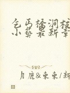 乞丐桥洞校花张小艺最新章节更新情