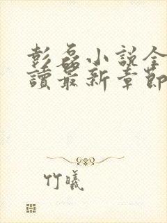 彭磊小说全文阅读最新章节更新时间