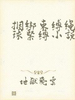 捆绑束缚绳艺口球紧缚小说