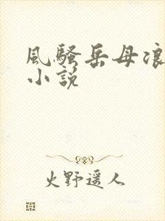 风骚岳母浪女婿小说封面