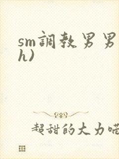 sm调教男男(h)