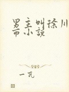 男主叫徐川的都市小说封面