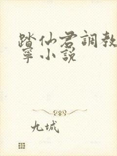 踏仙君调教楚晚宁小说封面