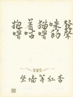 抱着猫咪发出咕噜咕噜的声音封面