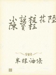 小说校花陆冰嫣陈宝柱