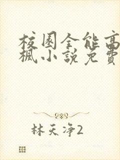 校园全能高手季枫小说免费阅读原文封面