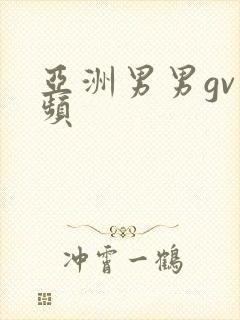 亚洲男男gv视频