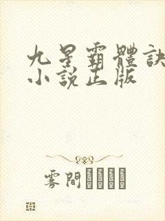 九星霸体诀龙尘小说正版