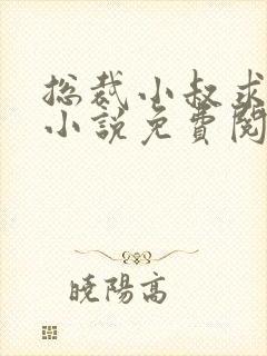 总裁小叔求放过小说免费阅读全文