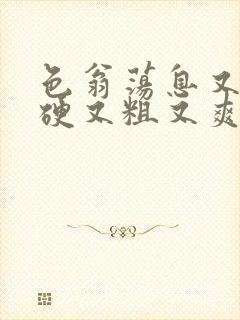 色翁荡息又大又硬又粗又爽小莹