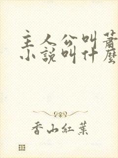 主人公叫萧辰的小说叫什么名字