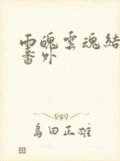 雨魄云魂结局十番外