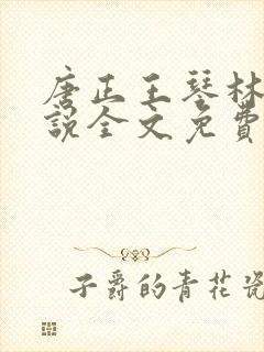 唐正王琴林媛小说全文免费阅读