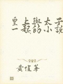 皇上与太子妃在一起的小说封面