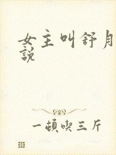 女主叫舒月的小说封面