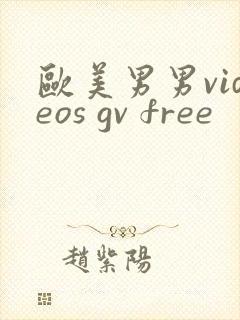 欧美男男videos gv free
