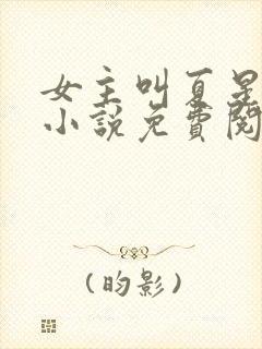 女主叫夏星窈的小说免费阅读