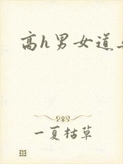 高h男女道具文封面