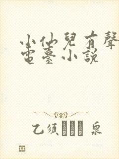 小仙儿有声小说电台小说