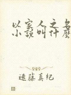 以家人之名原著小说叫什么名字