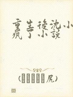 重生后沈小姐杀疯了小说封面