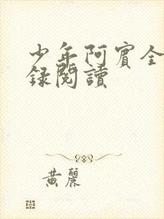 少年阿宾全文目录阅读