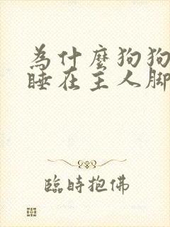 为什么狗狗喜欢睡在主人脚边