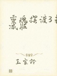 灵魂摆渡3未删减版