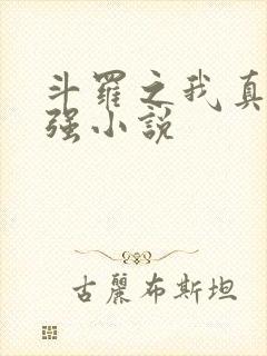 斗罗之我真的不强小说