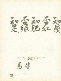 知否知否知否应是绿肥红瘦在哪个平台