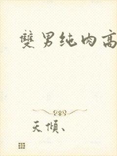 双男纯肉高h文封面