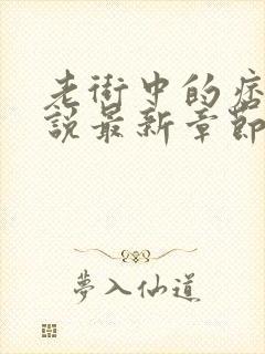 老街中的痞子小说最新章节封面