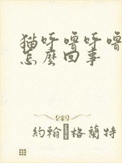 猫呼噜呼噜响是怎么回事