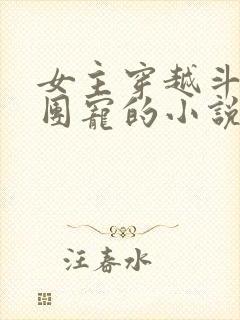 女主穿越斗罗当团宠的小说